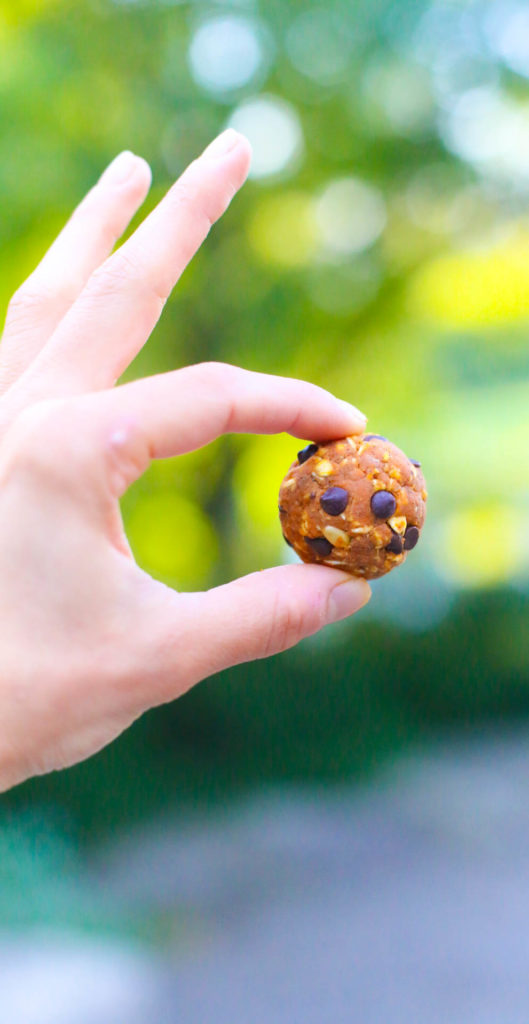 vegan pumpkin chocolate energy ball 