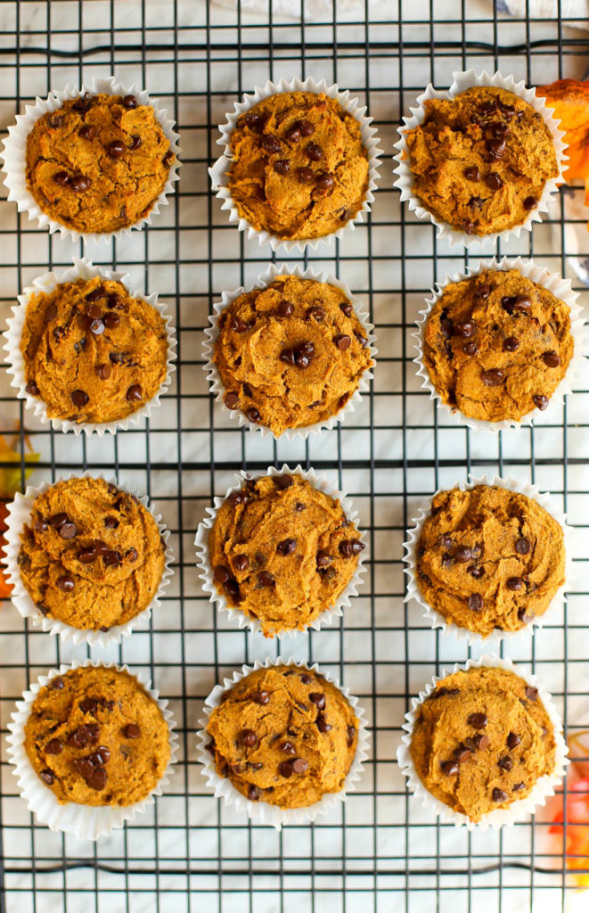 buckwheat pumpkin spice chocolate chip muffins