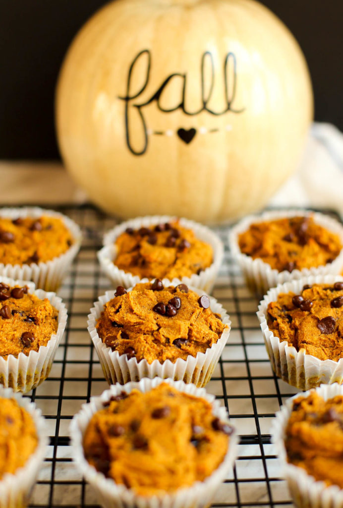 buckwheat pumpkin spice chocolate chip muffins