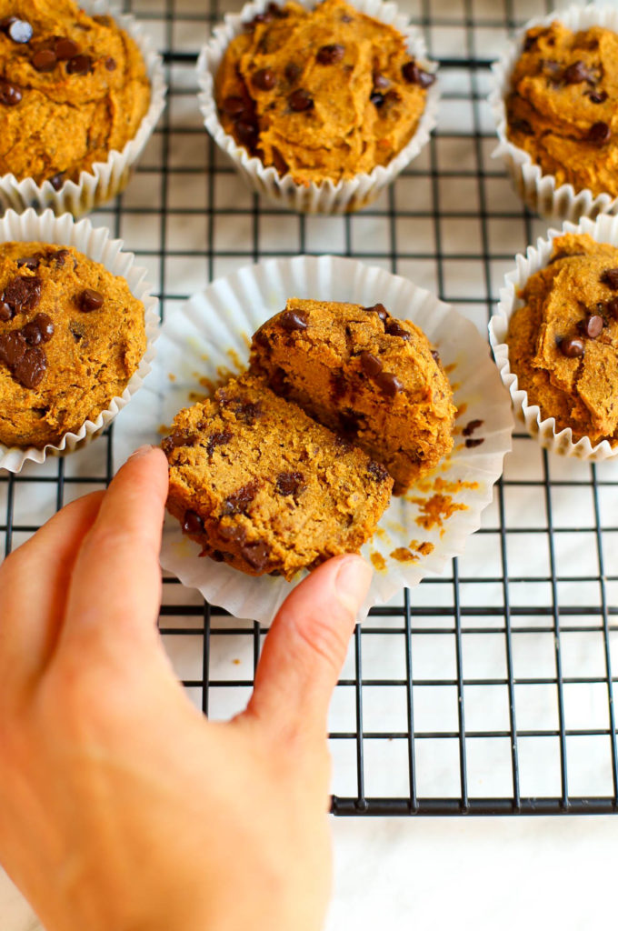 buckwheat pumpkin spice chocolate chip muffins